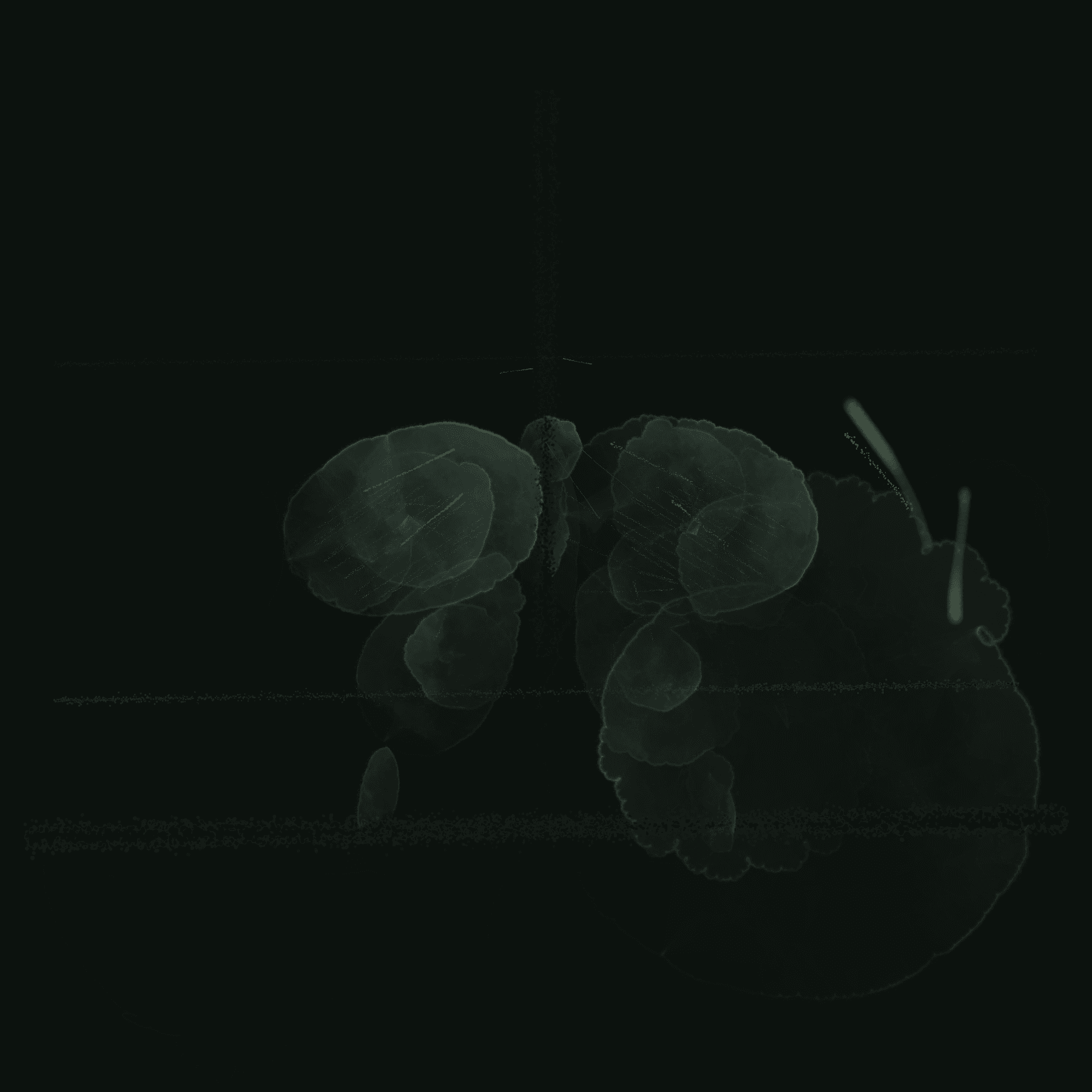 taste-v2-van-gogh-moth-600 · grok-1787554632798-painting, rendered by Unattributed renderer