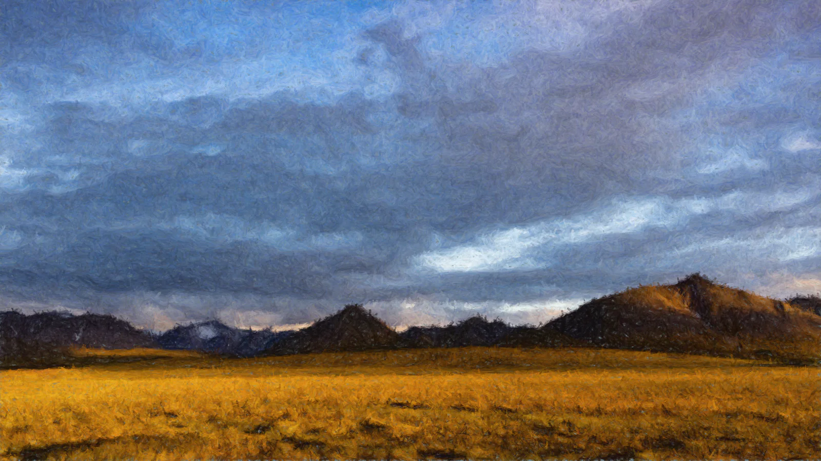 midnight rim light across tundra