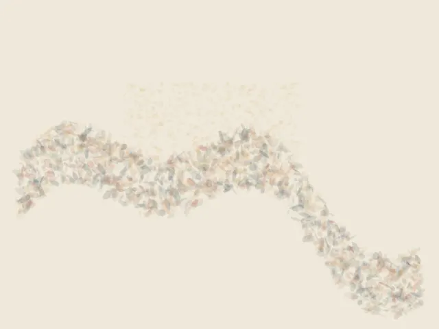 Salt Takes the Shape of Refusal stages porous dry reserve as a competing material path with a retained remainder.