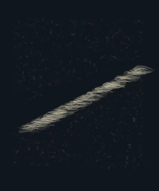 What the Knife Could Not Erase uses abrade to arrest a competing process.