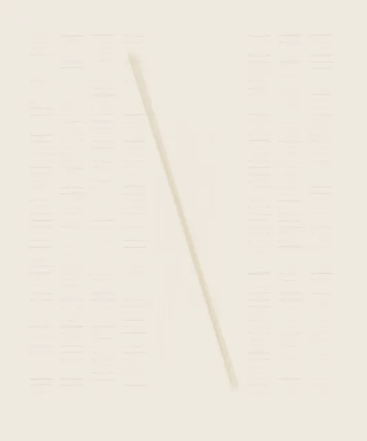 Silence Between Fibers stages silence bridges paper fibers as a material consequence of breakage.