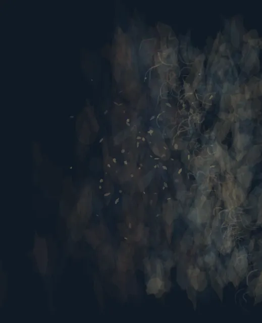 One field registers the distant neighbor through echoed direction and softened density.