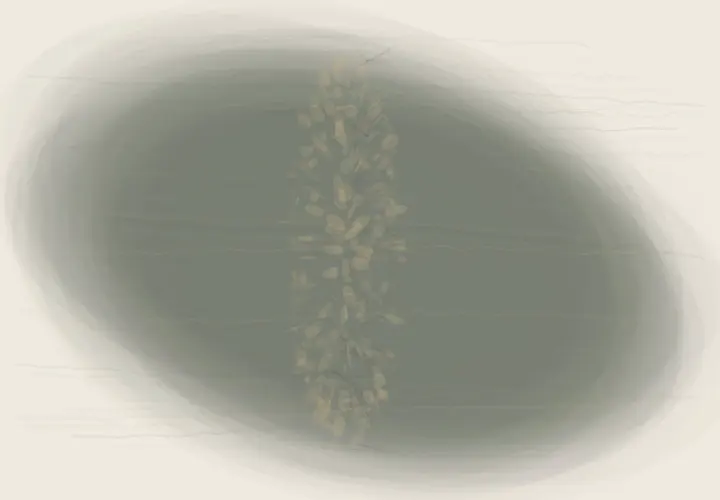 Tenderness at the Verge: cumulative painting state 3 of 4; Tenderness at the Verge stages porous tender fringe as reciprocal material consequence.