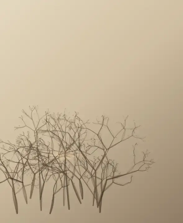 Breath Through Thorns: cumulative painting state 3 of 4; Breath Through Thorns answers the prompt through thorn pressure utterance, authored as an independent deterministic raster system.
