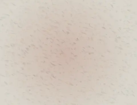 Arrival Without a Boundary: cumulative painting state 2 of 4; Arrival Without a Boundary makes diffusion changes a field without crossing a visible perimeter visible.