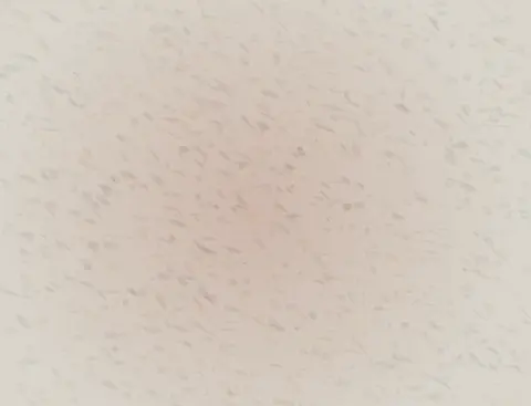 Arrival Without a Boundary: cumulative painting state 3 of 4; Arrival Without a Boundary makes diffusion changes a field without crossing a visible perimeter visible.