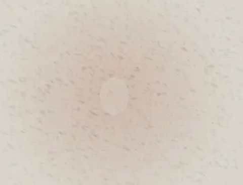 Arrival Without a Boundary: cumulative painting state 4 of 4; Arrival Without a Boundary makes diffusion changes a field without crossing a visible perimeter visible.