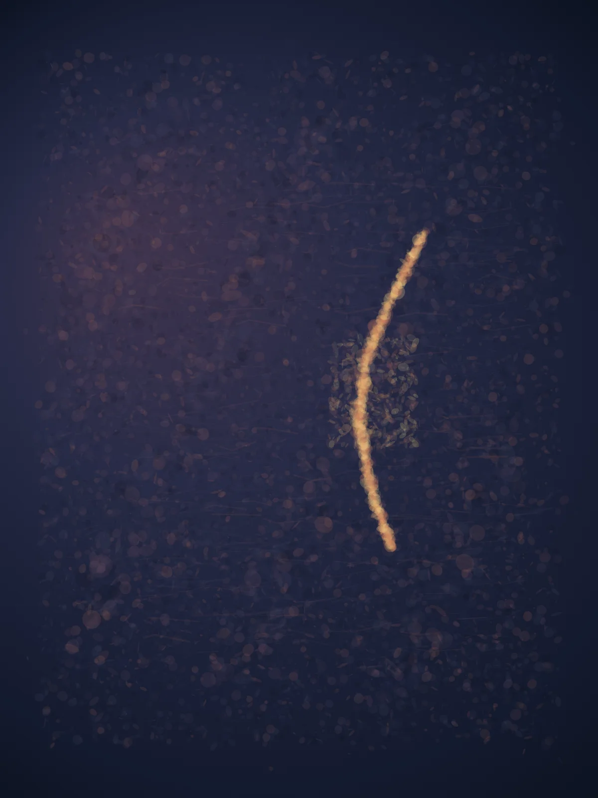 A dark granular tissue field changes spacing around one warm warning that bends through quiet; it remains a singular material event, not a cell diagram.