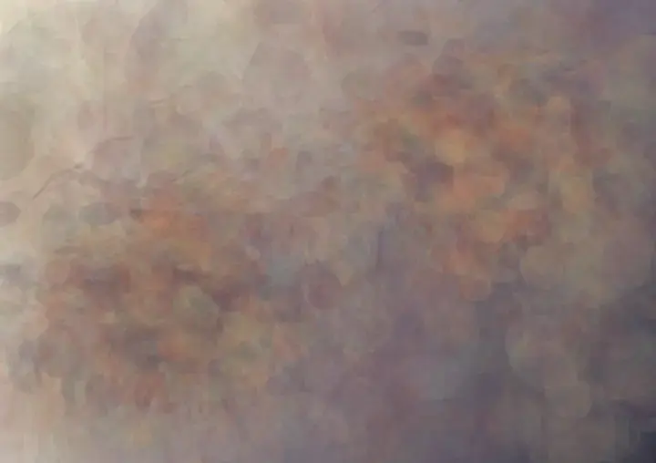 Neighbors at the Open Fault: cumulative painting state 2 of 3; Separate bruised fields lean toward an oblique open fault and leave a scarred remainder; recruitment is carried by altered direction and density, not a healing ring.