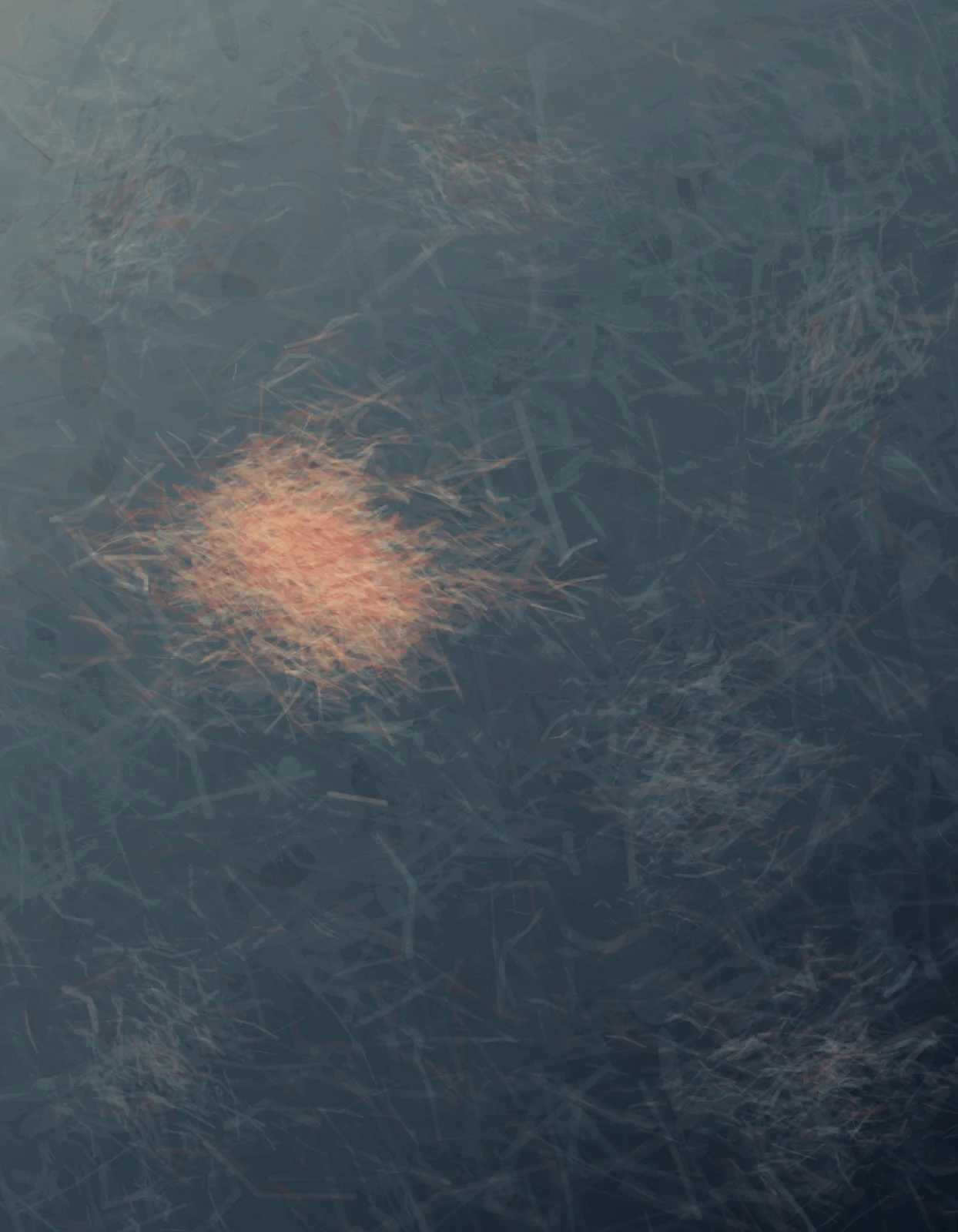 Irregular charcoal-like relief plates recede through a portrait crop while one warm plate changes the reflectance; no regular school or fish body is drawn.