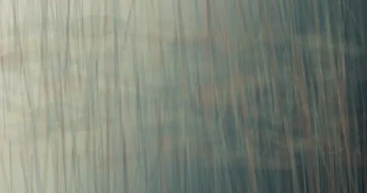 Pursuit Rewrites the Pattern: cumulative painting state 1 of 3; Smoke chalk compresses toward an off-frame pressure while a pale camouflage wake opens to the right; the change is carried by spacing and opacity rather than a target.