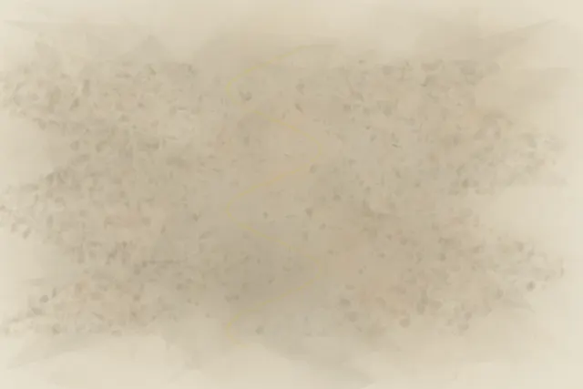 An asymmetric living field stages cells gather at the quiet wound. through pressure, granular deposits, abrasion, and exposed support.