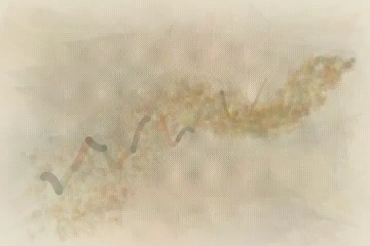Moss in the Break: cumulative painting state 3 of 3; An asymmetric living field stages moss enters the fracture. through pressure, granular deposits, abrasion, and exposed support.