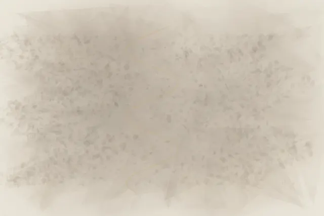 An asymmetric living field stages growth keeps the evidence. through pressure, granular deposits, abrasion, and exposed support.