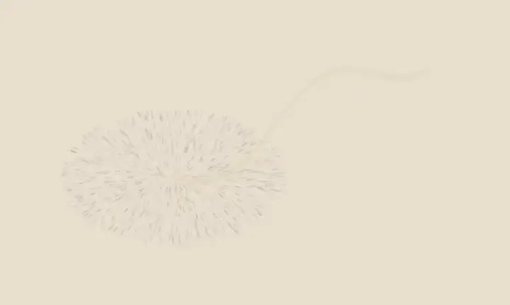 Departure Has a Vector: cumulative painting state 1 of 4; singular departure turns many local decisions into an open spatial event.