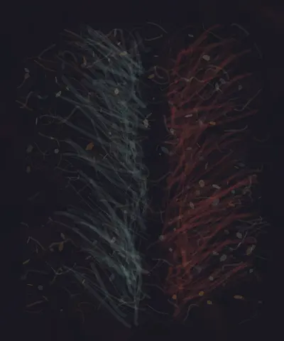 The Carrier of Both Losses: cumulative painting state 4 of 4; The Carrier of Both Losses makes double-loss physically alter load, direction, density, or residual meaning.