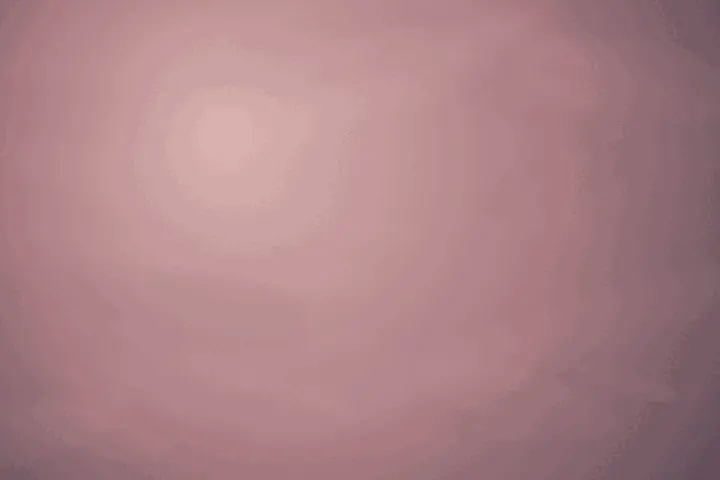 Residual Agreement: cumulative painting state 1 of 3; A smoked rose field holds a large pale, rubbed-out center. A dark umber contact rises from the lower-left and bends toward the upper middle, while a separate angular umber-green contact enters from the right edge; fine pale and blue-green residue gathers around the empty interval.