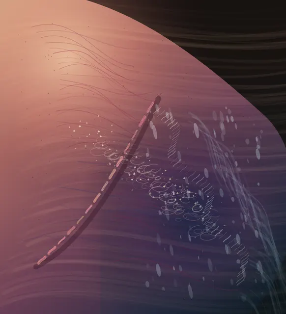 Skin That Remembers the Tide is a completed original from SOL-ULTRA-SALON-B-01. Sealed jury decision: reject. Curved seam, droplets, and repeated stitch-like marks resolve as a decorative biological surface study rather than an autonomous large-format painting.