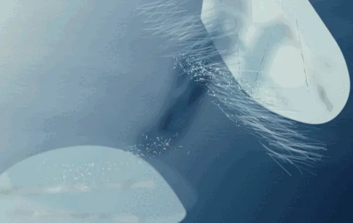 The Night Held in Ice: cumulative painting state 1 of 4; A cropped glacier body hangs across a blue-black field: pale ice planes overlap a branched cobalt interior, with fractured edges catching mineral light and quiet intervals left open around the pressure.