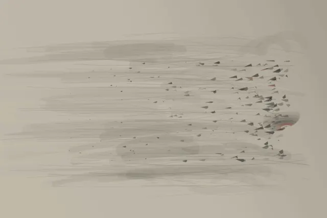 Ash Keeps the Wind interprets wake through directional ash drift as an independently authored causal raster.