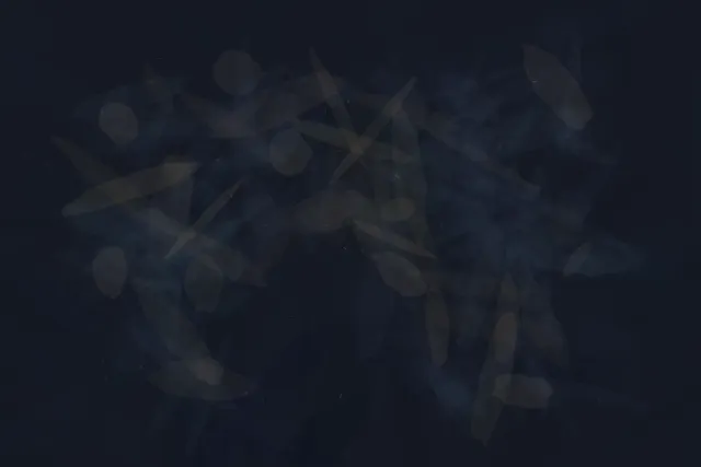 Blue resonance withdraws from an empty interval while bruised translucent matter remains at its edges.