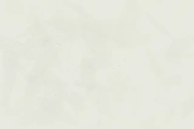Fine snow grain closes around a small warm refusal without forming a figure.