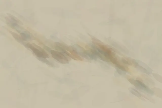 Ochre sediment carries one diagonal disagreement through a pale river field.