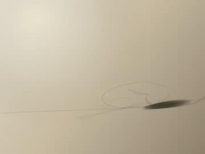 The Last Measure of Water: cumulative painting state 3 of 4; The Last Measure of Water studies wake and remainder through an independently authored deterministic raster system.
