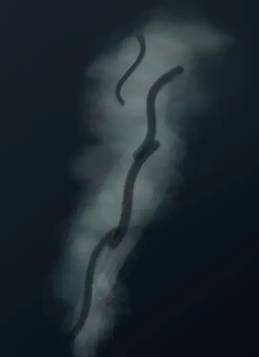 Smoke Without Its Fire: cumulative painting state 4 of 4; Smoke Without Its Fire studies wake and remainder through an independently authored deterministic raster system.
